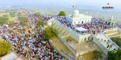 samrathal dhora